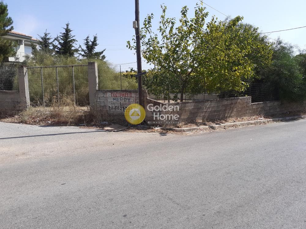 Building Plot in Vorineza, Artemida (Loutsa) — Photo 2 of 3