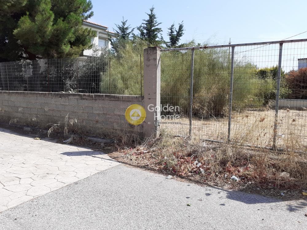 Building Plot in Vorineza, Artemida (Loutsa) — Photo 3 of 3