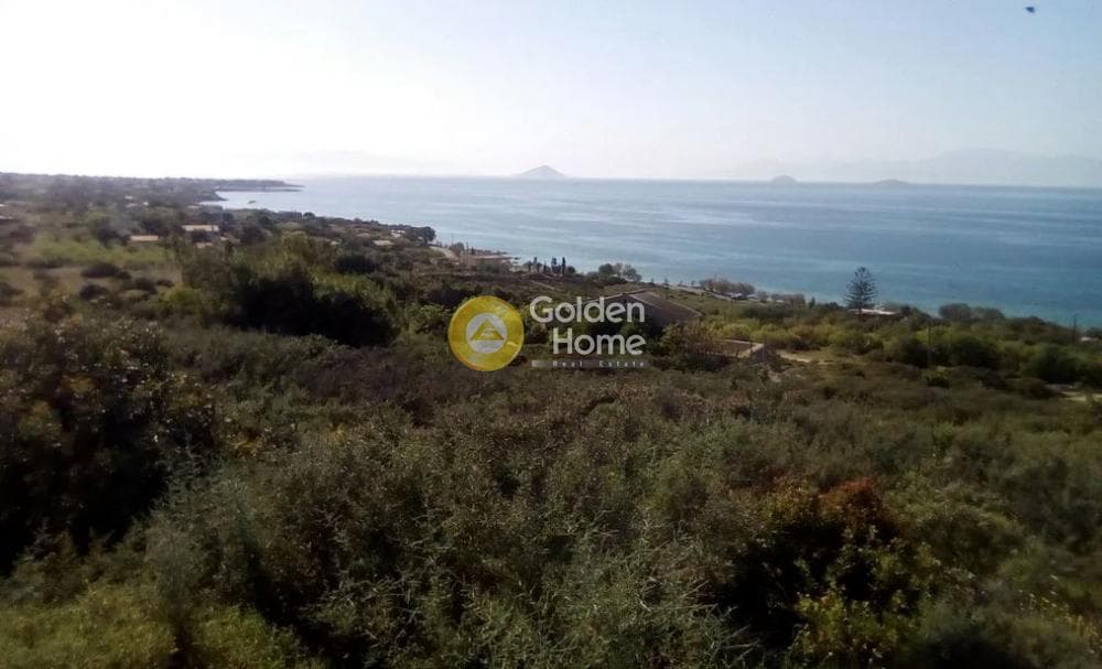 Οικόπεδο στην Κυψέλη, Αίγινα — Φωτογραφία 2 από 5