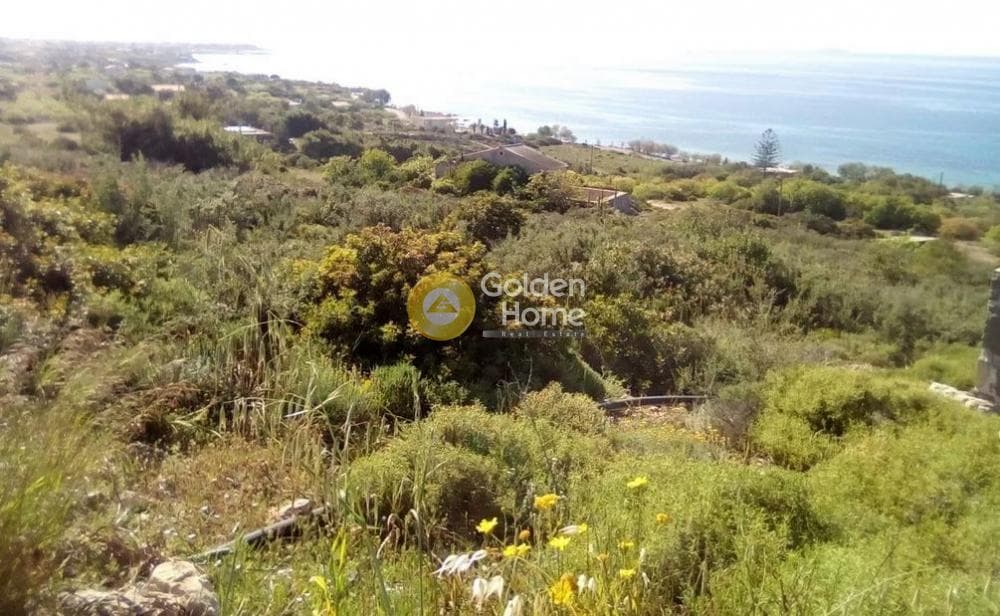 Οικόπεδο στην Κυψέλη, Αίγινα — Φωτογραφία 3 από 5