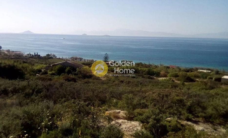 Οικόπεδο στην Κυψέλη, Αίγινα — Φωτογραφία 4 από 5