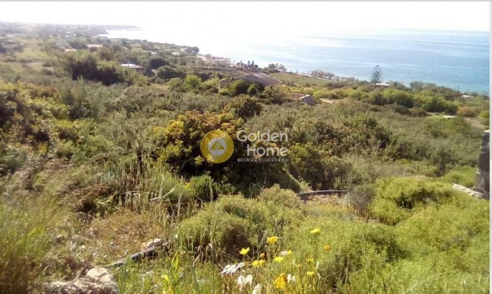 Parcel in Kipseli, Aegina — Photo 3 of 5