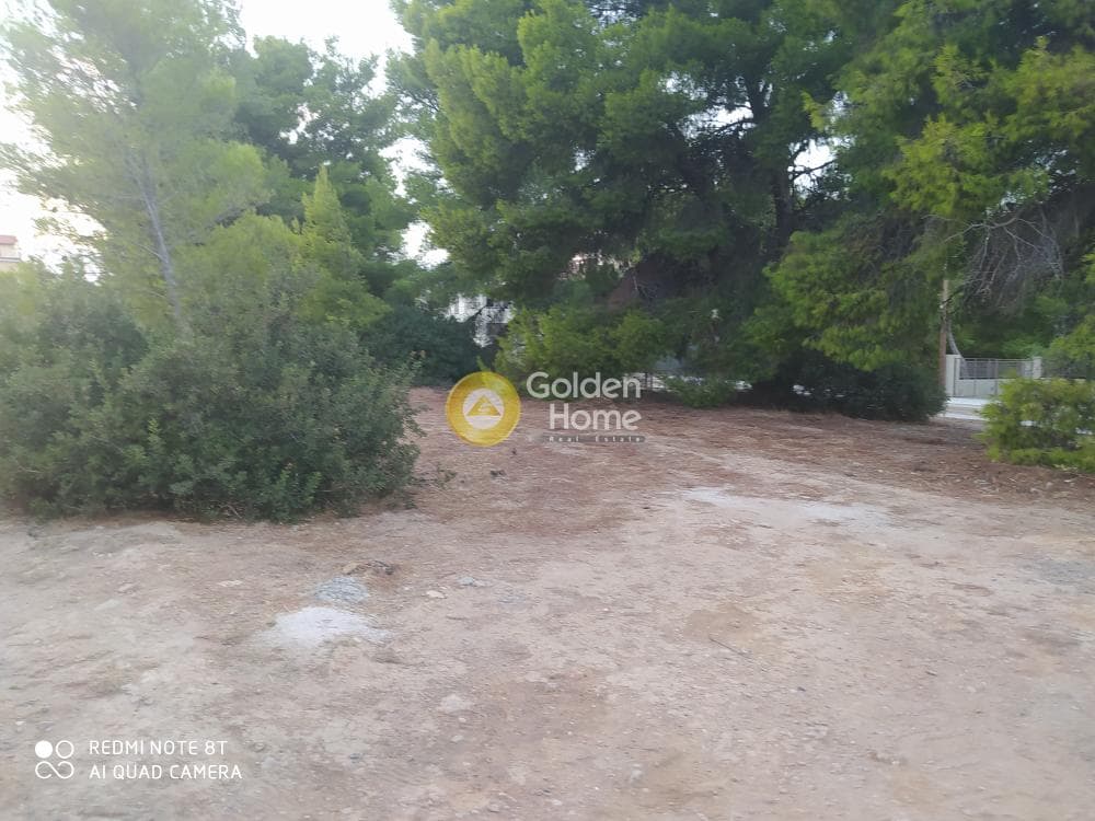 Οικόπεδο στην Άγιος Σεραφείμ, Αρτέμιδα (Λούτσα) — Φωτογραφία 2 από 13