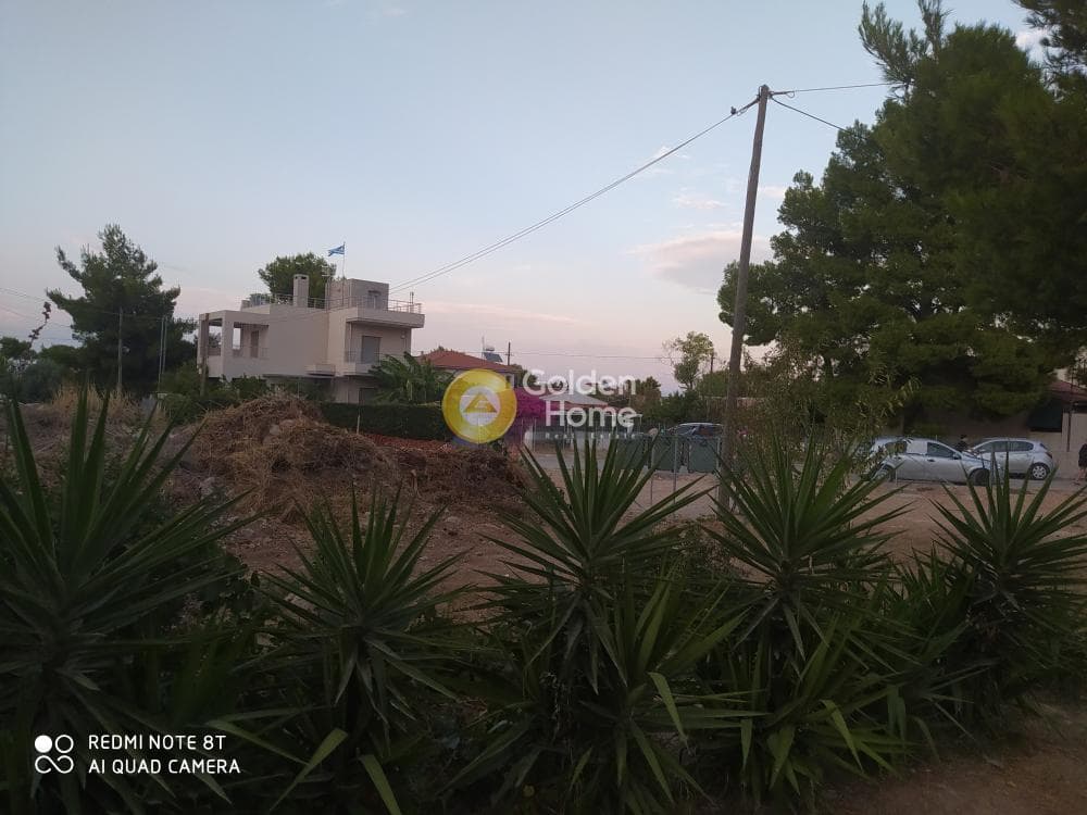 Οικόπεδο στην Άγιος Σεραφείμ, Αρτέμιδα (Λούτσα) — Φωτογραφία 6 από 13