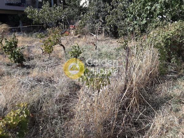 Οικόπεδο στην Πυργούθι, Αχαρνές — Φωτογραφία 1 από 4