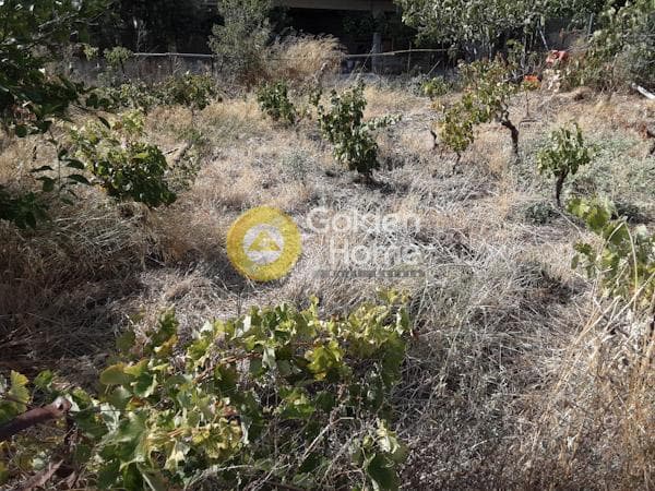 Οικόπεδο στην Πυργούθι, Αχαρνές — Φωτογραφία 2 από 4
