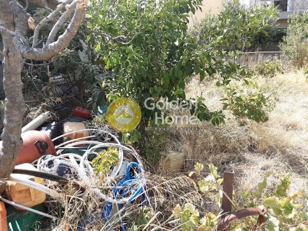 Οικόπεδο στην Πυργούθι, Αχαρνές — Φωτογραφία 4 από 4