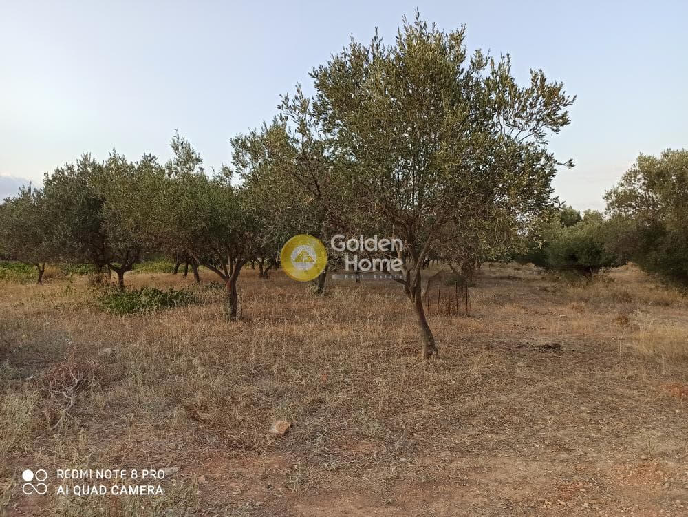 Parcel in Center, Koropi — Photo 2 of 4