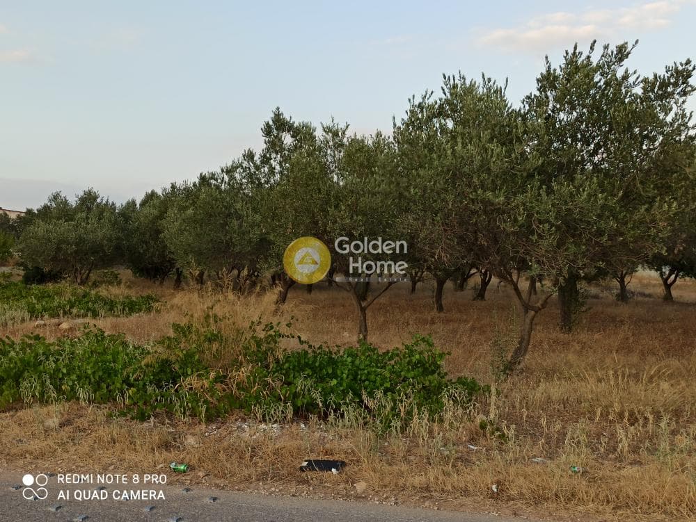 Parcel in Center, Koropi — Photo 1 of 4