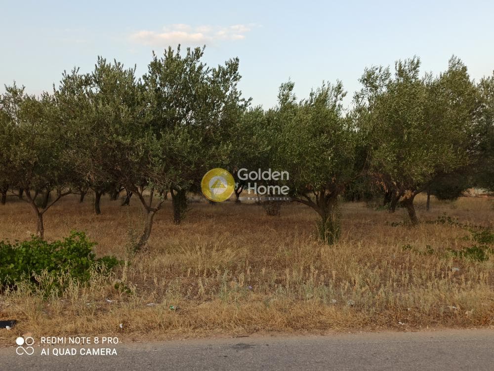 Parcel in Center, Koropi — Photo 3 of 4