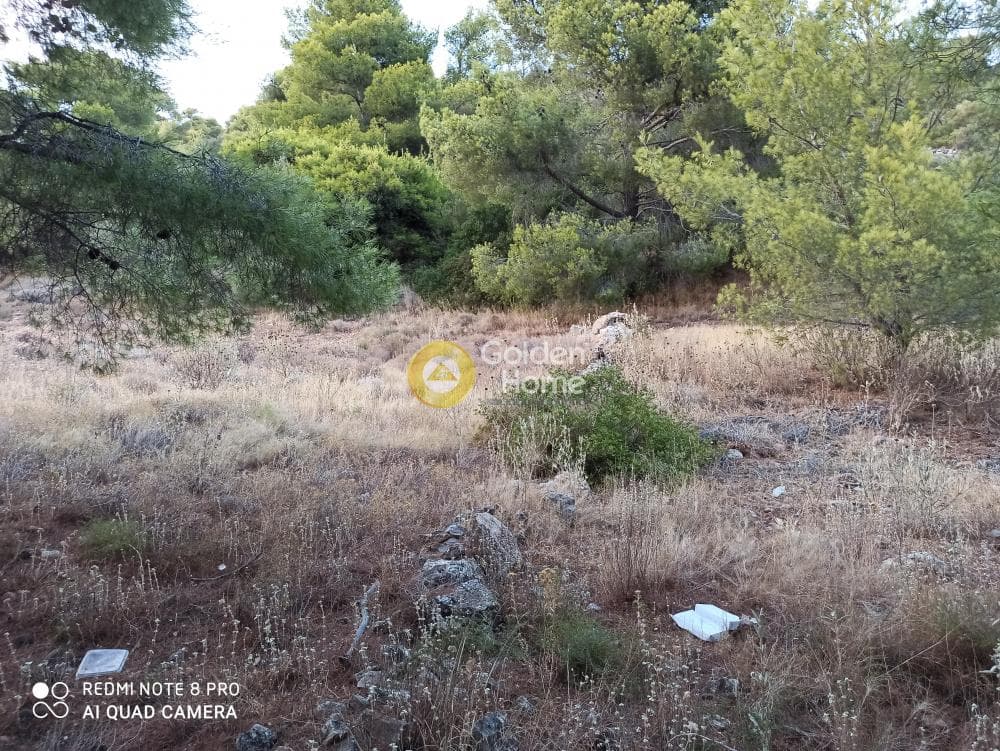 Parcel in Lamprika, Koropi — Photo 1 of 3