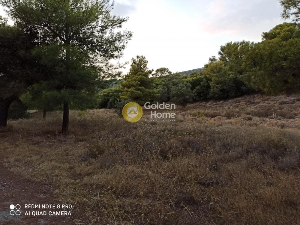 Parcel in Lamprika, Koropi — Photo 2 of 3
