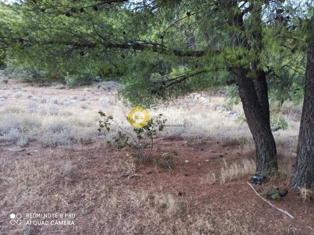 Parcel in Lamprika, Koropi — Photo 3 of 3