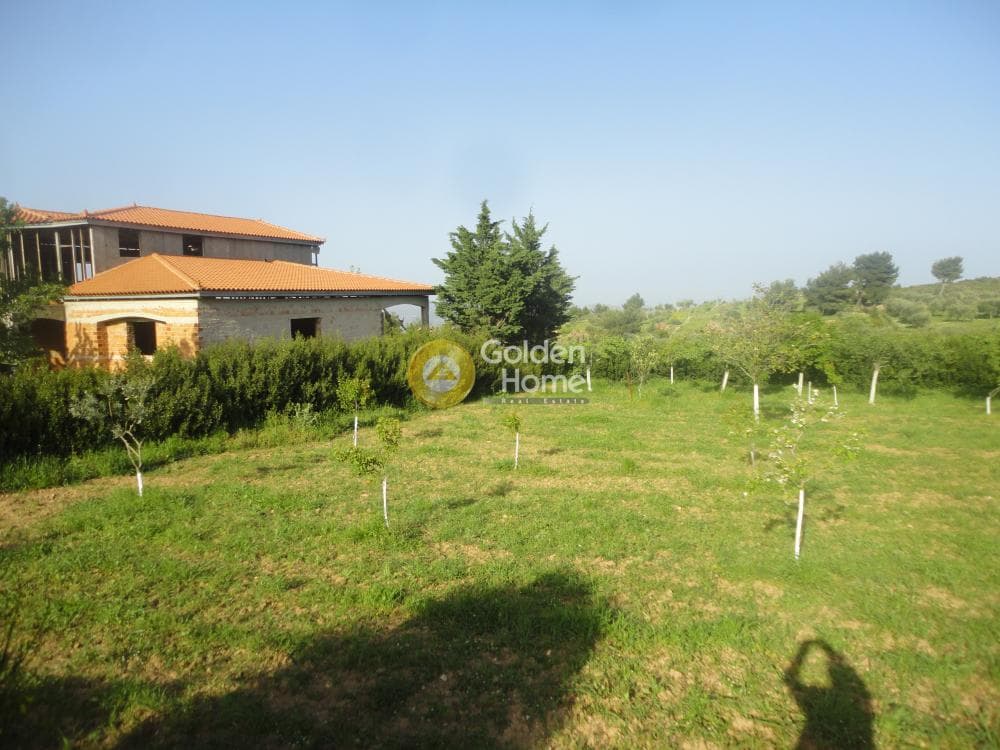 House in Amigdaleza, Stamata — Photo 17 of 17