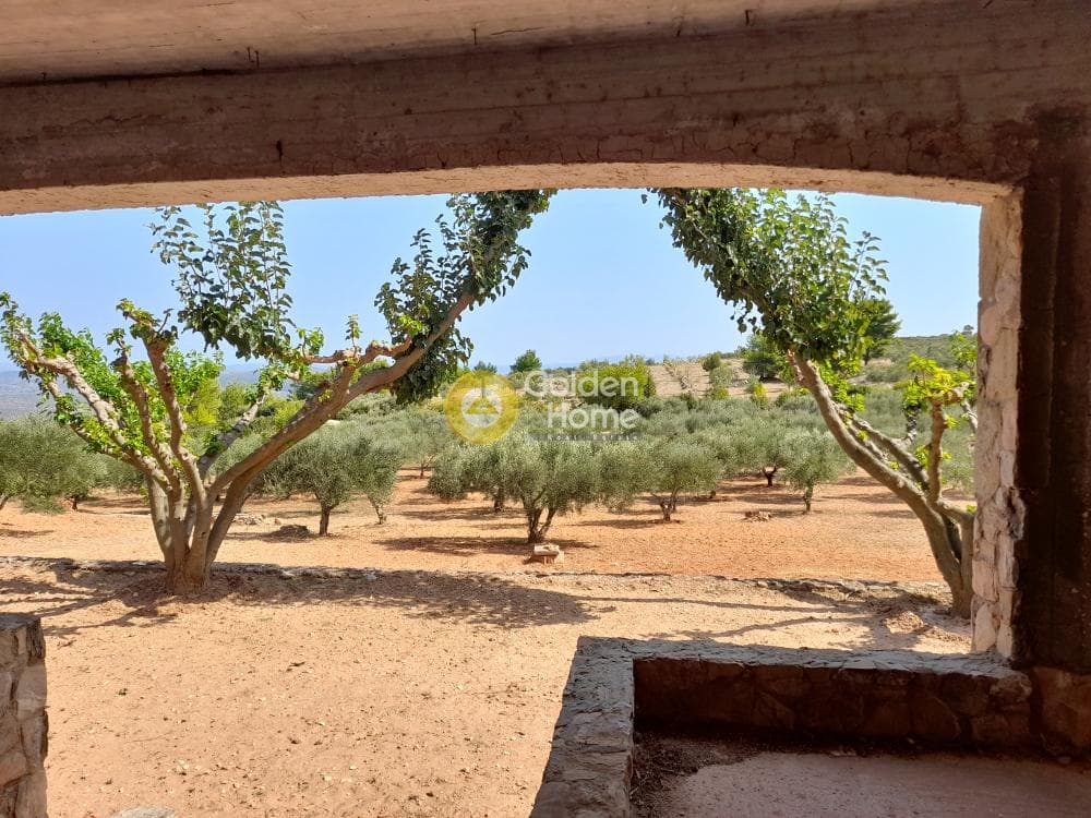 House in Amigdaleza, Stamata — Photo 12 of 17