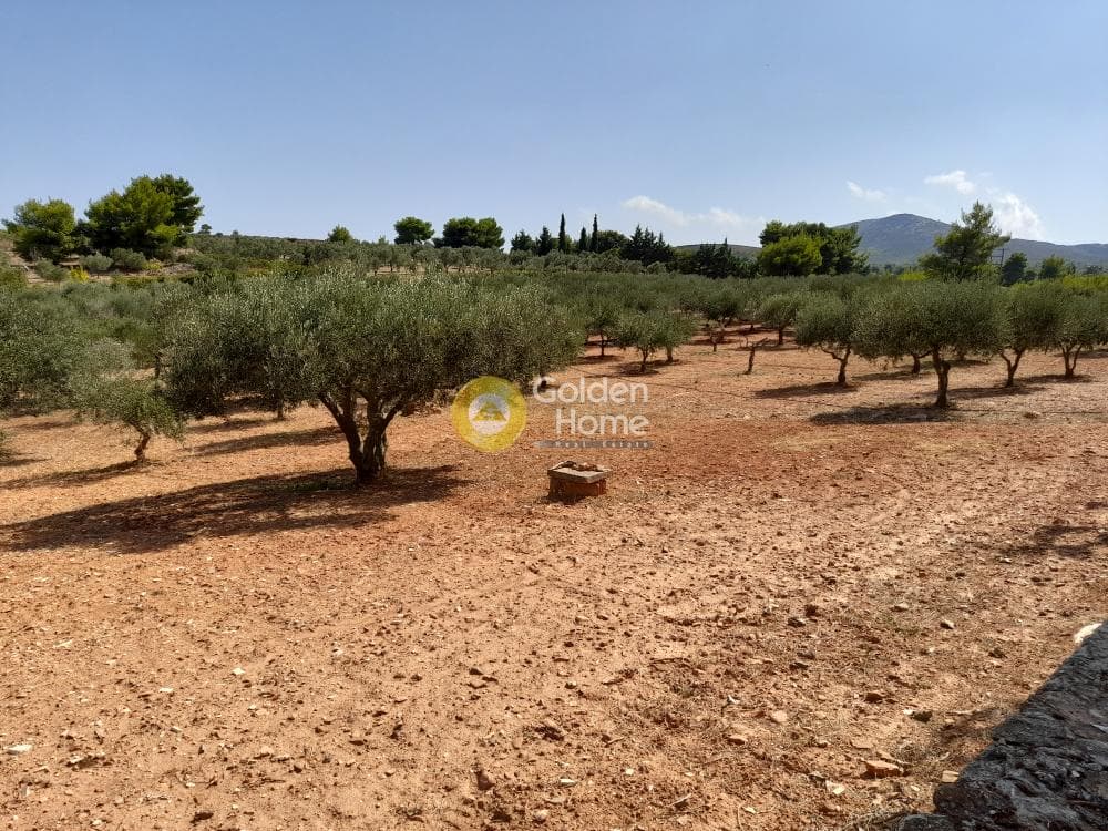 House in Amigdaleza, Stamata — Photo 15 of 17