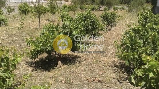 Building Plot in Agios Serafeim, Artemida (Loutsa)