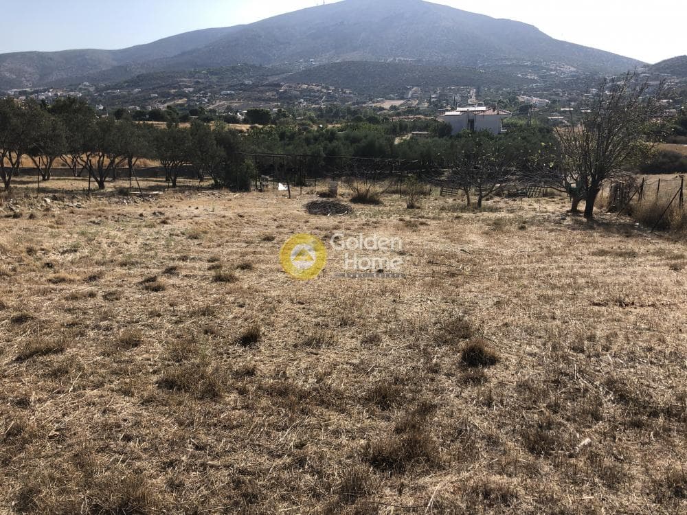 Parcel in Galazia akti, Kalivia Thorikou — Photo 4 of 8