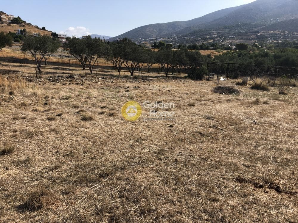 Parcel in Galazia akti, Kalivia Thorikou — Photo 5 of 8