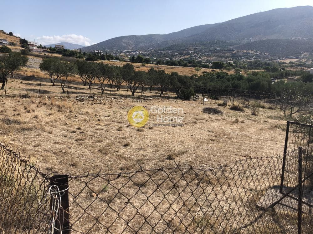 Parcel in Galazia akti, Kalivia Thorikou — Photo 1 of 8