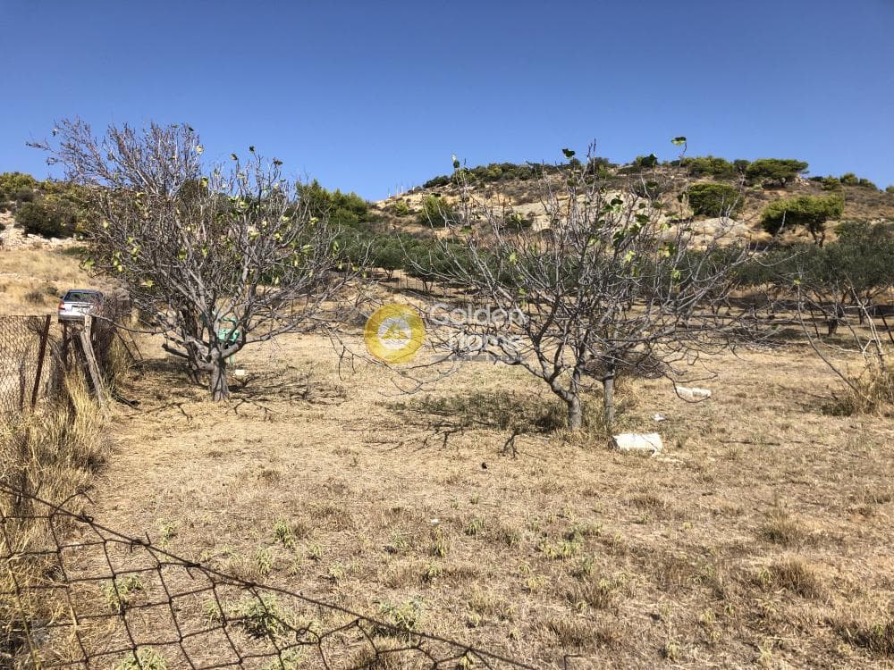 Parcel in Galazia akti, Kalivia Thorikou — Photo 6 of 8