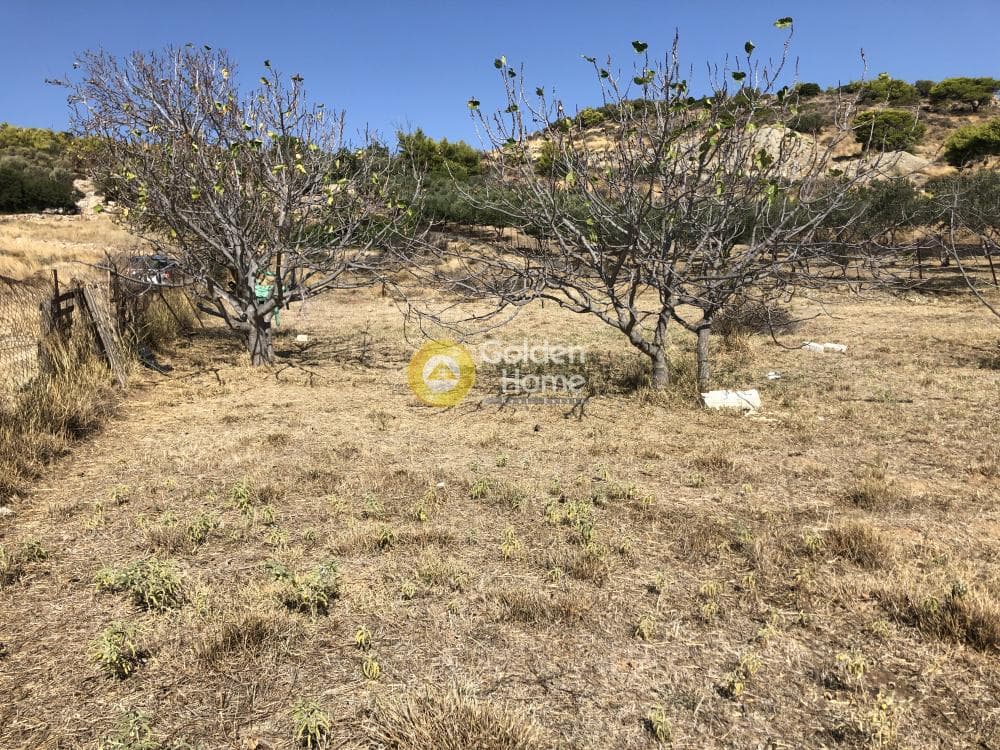 Parcel in Galazia akti, Kalivia Thorikou — Photo 7 of 8