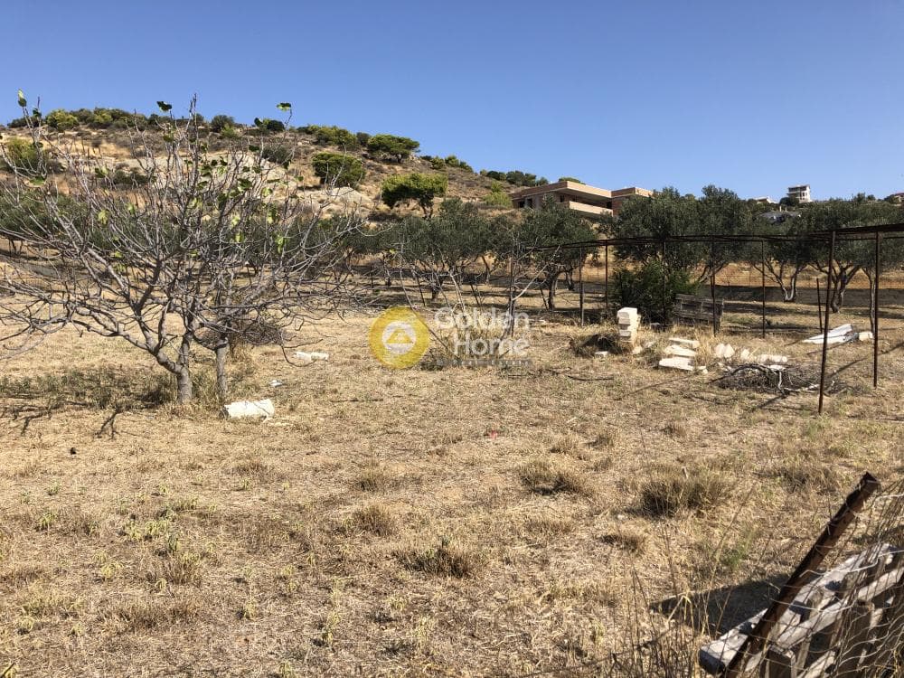 Parcel in Galazia akti, Kalivia Thorikou — Photo 8 of 8