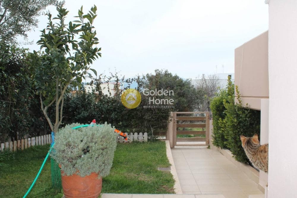 Μονοκατοικία στην Κέντρο, Μαρκόπουλο — Φωτογραφία 2 από 18