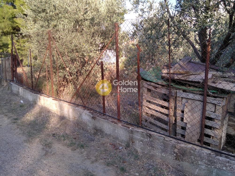Οικόπεδο στην Μεγάλα Σχοινία Α, Αχαρνές — Φωτογραφία 4 από 5