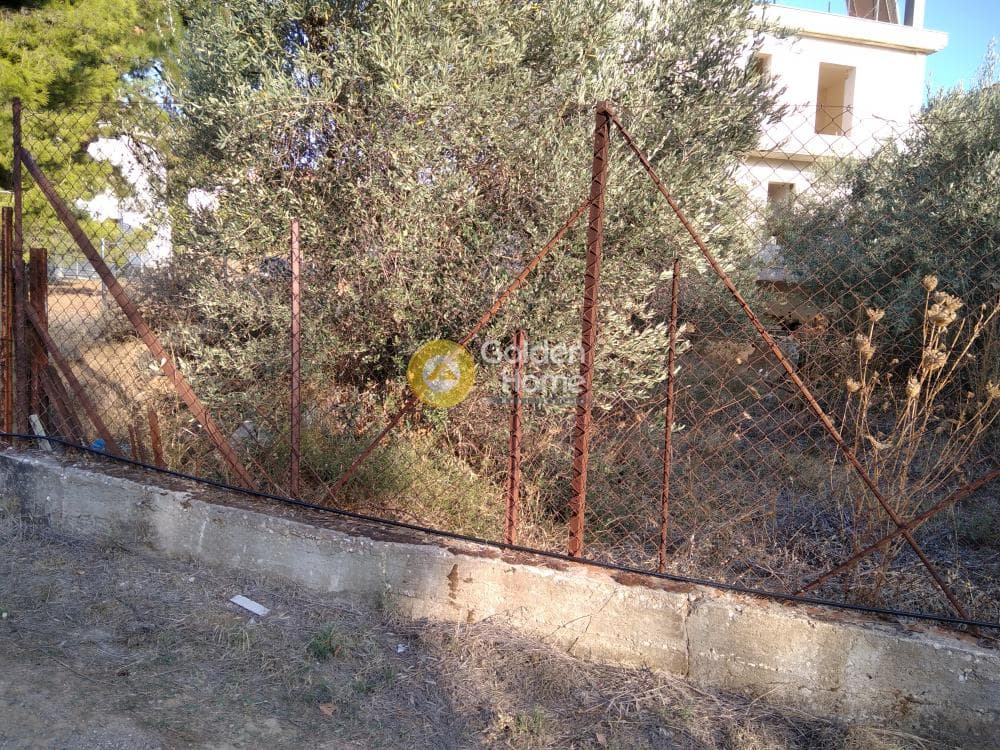 Οικόπεδο στην Μεγάλα Σχοινία Α, Αχαρνές — Φωτογραφία 1 από 5
