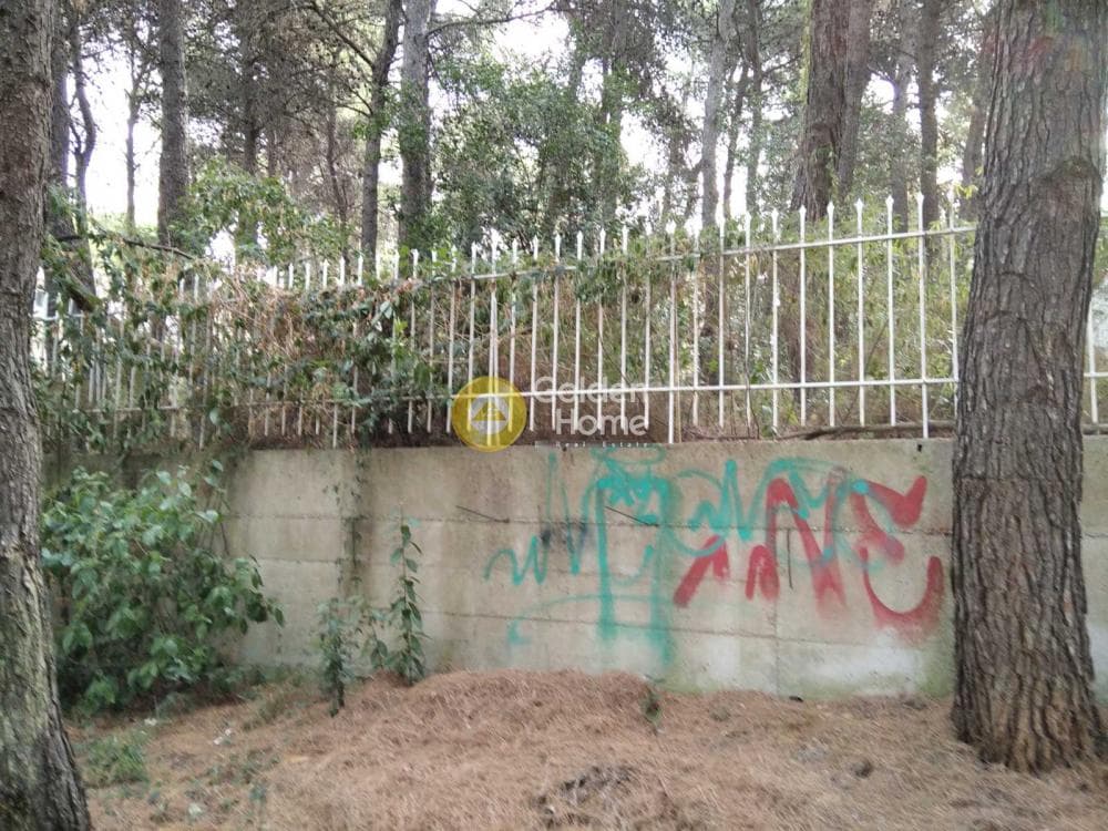Building Plot in Kapitenia, Agios Stefanos — Photo 3 of 7