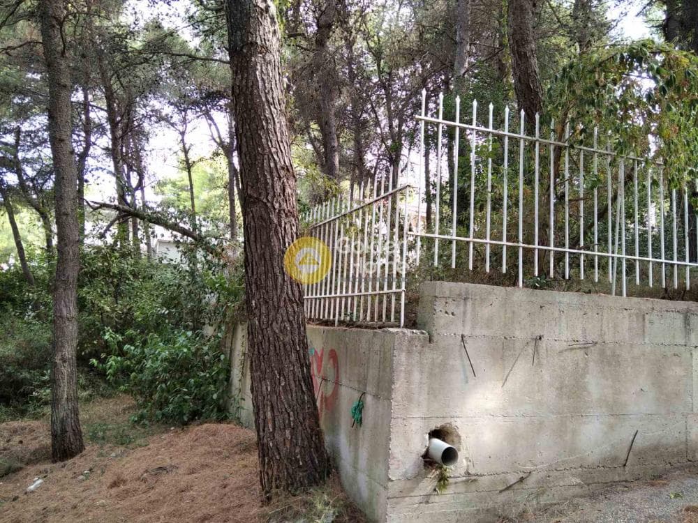Building Plot in Kapitenia, Agios Stefanos — Photo 4 of 7