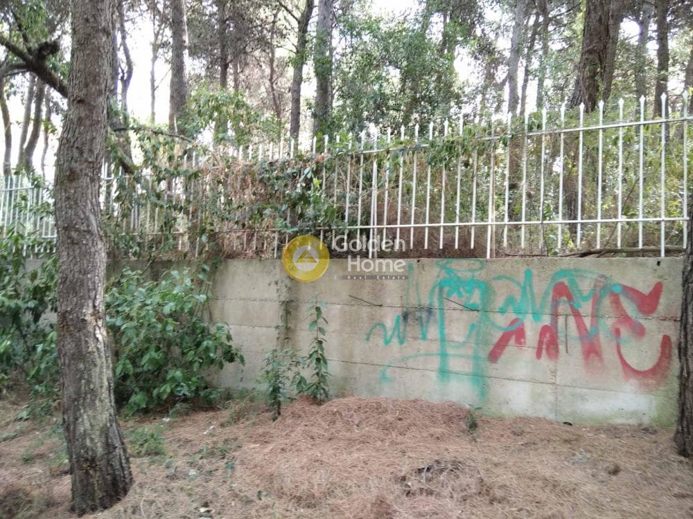 Building Plot in Kapitenia, Agios Stefanos — Photo 5 of 7