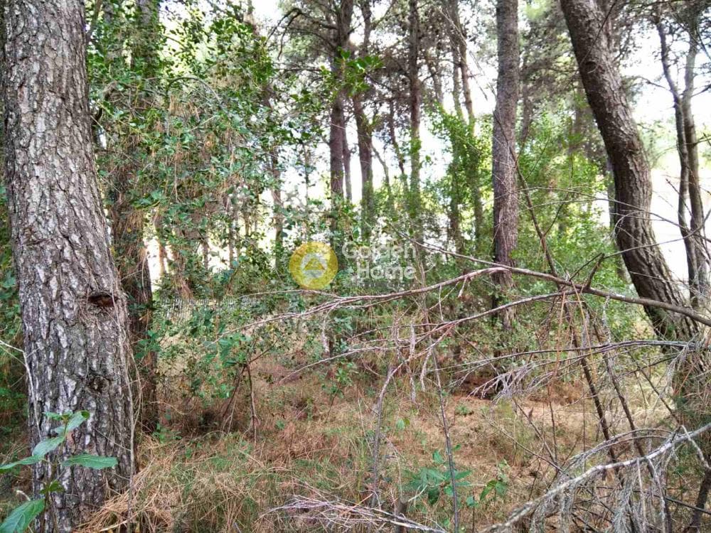 Building Plot in Kapitenia, Agios Stefanos — Photo 2 of 7