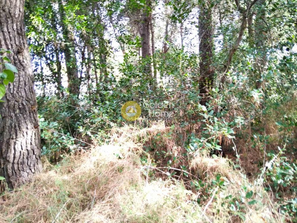 Building Plot in Kapitenia, Agios Stefanos — Photo 6 of 7