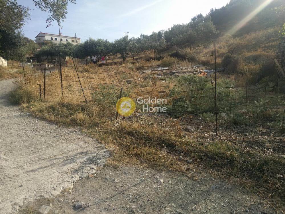 Αγροτεμάχιο στην Σάκκα, Κερατέα — Φωτογραφία 2 από 4