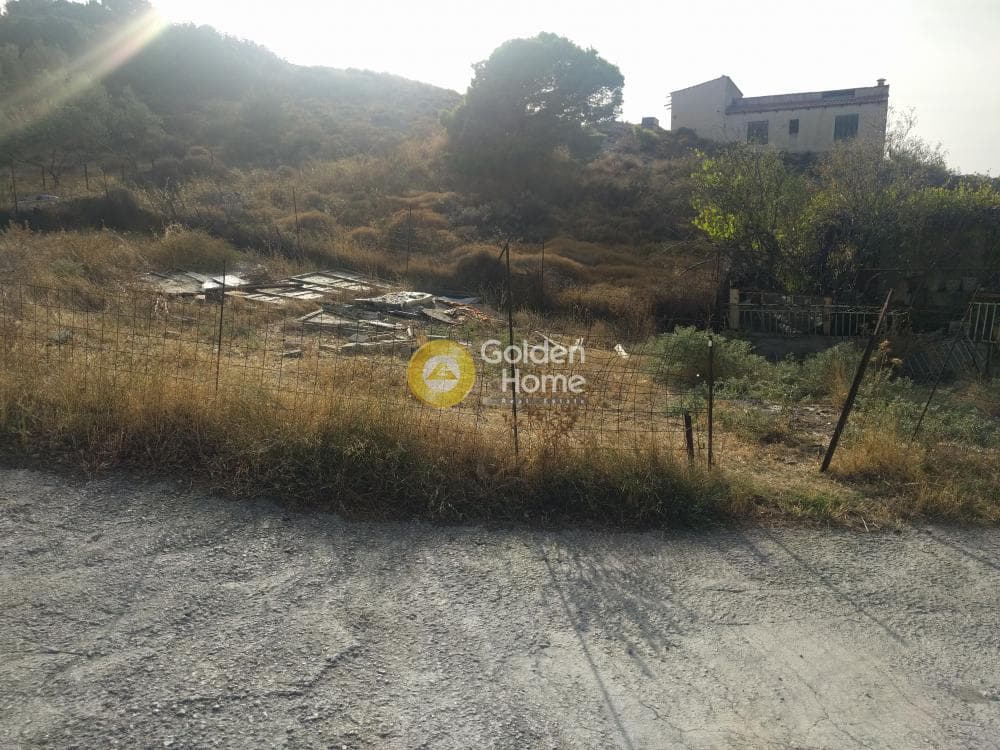 Αγροτεμάχιο στην Σάκκα, Κερατέα — Φωτογραφία 3 από 4