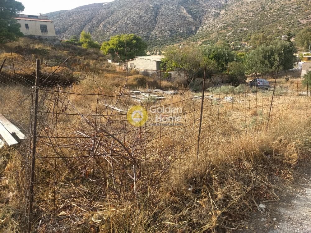 Αγροτεμάχιο στην Σάκκα, Κερατέα — Φωτογραφία 4 από 4
