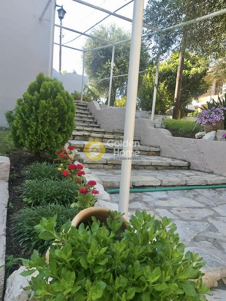 Hotel in Pareli, Corfu — Photo 1 of 14