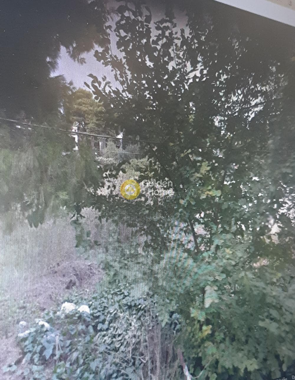 Building Plot in Dasos Kouremenou, Agios Stefanos