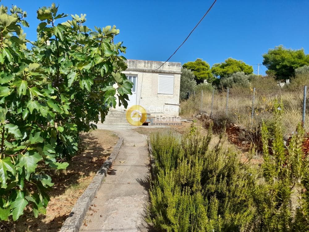 Building Plot in Anthousa, Anthoisa — Photo 1 of 4
