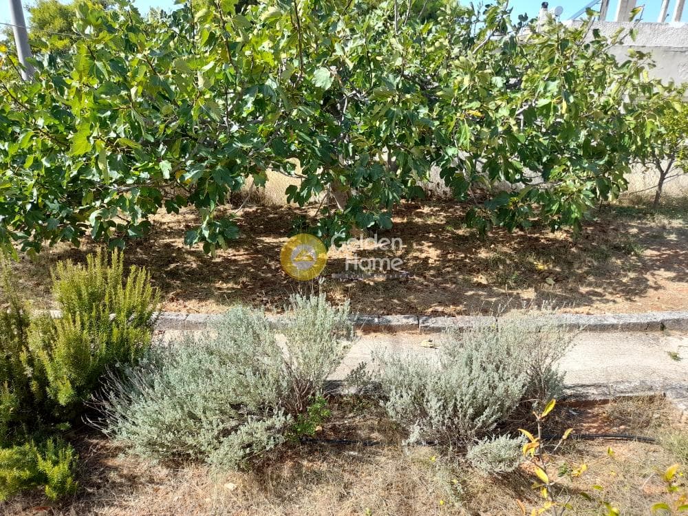 Building Plot in Anthousa, Anthoisa — Photo 4 of 4