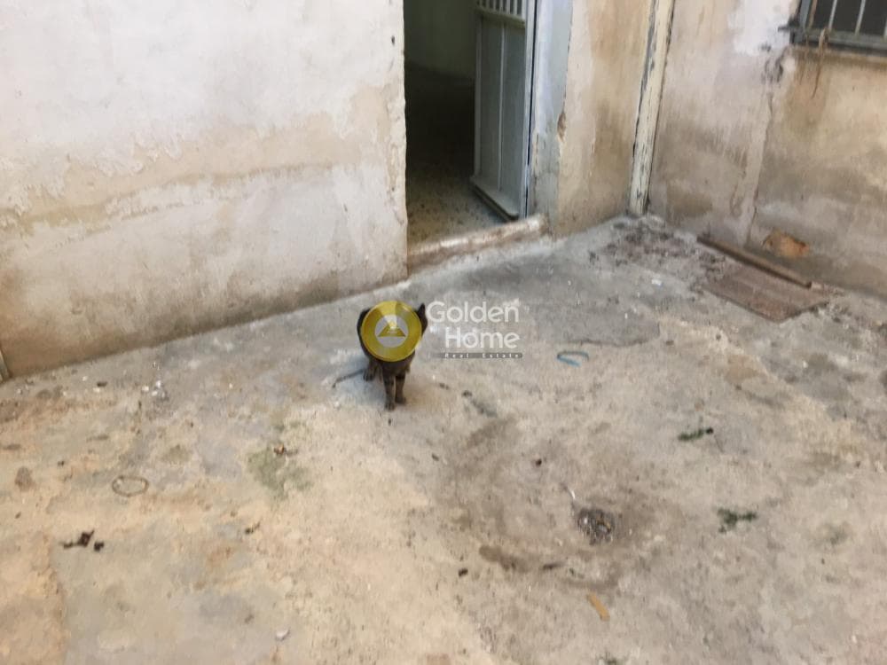 Retail Store in Leof. Liosion, Attiki — Photo 4 of 4