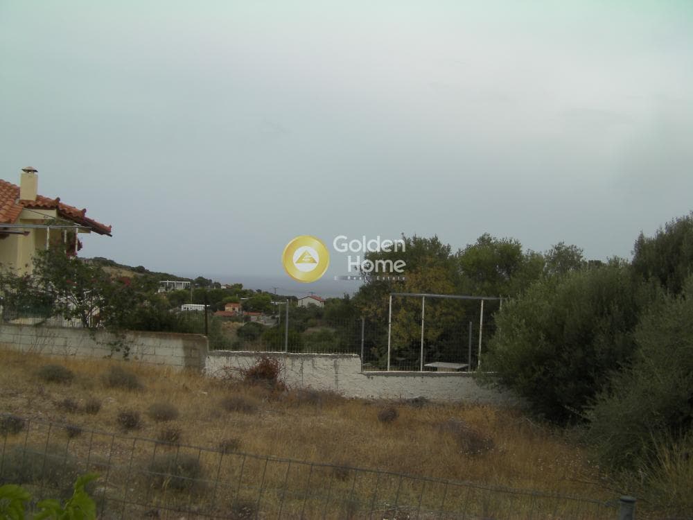 Αγροτεμάχιο στην Παραλία Δασκαλειού, Κερατέα — Φωτογραφία 4 από 6
