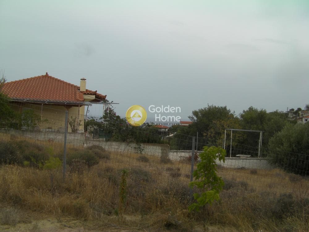 Αγροτεμάχιο στην Παραλία Δασκαλειού, Κερατέα — Φωτογραφία 5 από 6