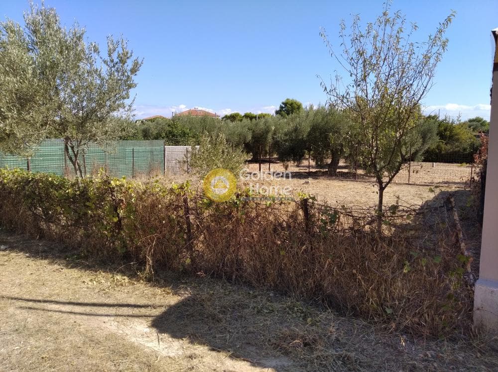 Parcel in Agios Serafeim, Artemida (Loutsa) — Photo 2 of 6