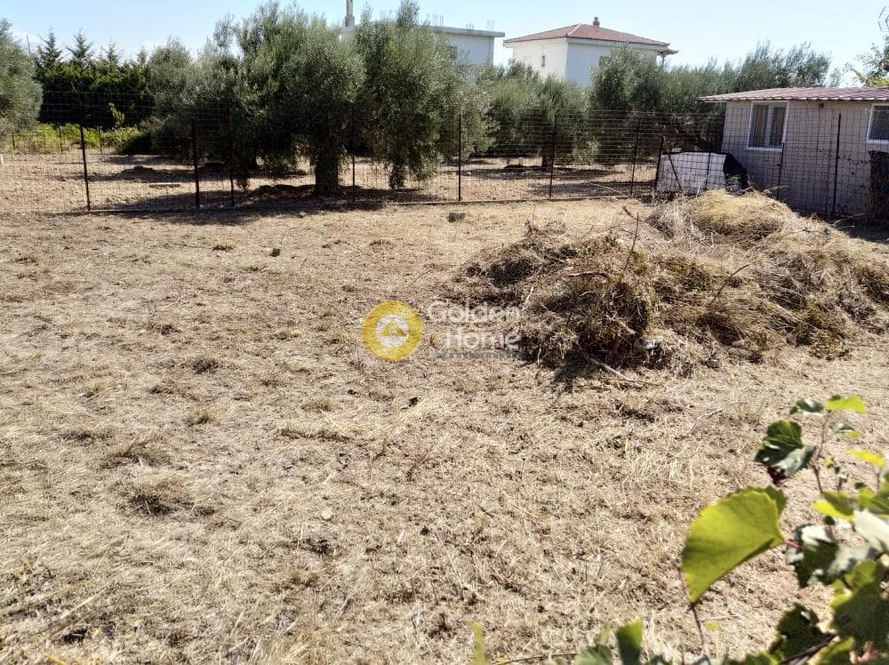 Parcel in Agios Serafeim, Artemida (Loutsa) — Photo 3 of 6
