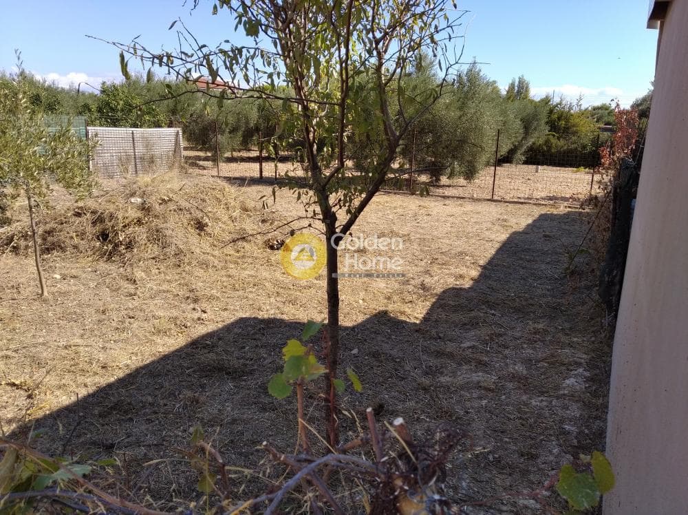 Parcel in Agios Serafeim, Artemida (Loutsa) — Photo 5 of 6