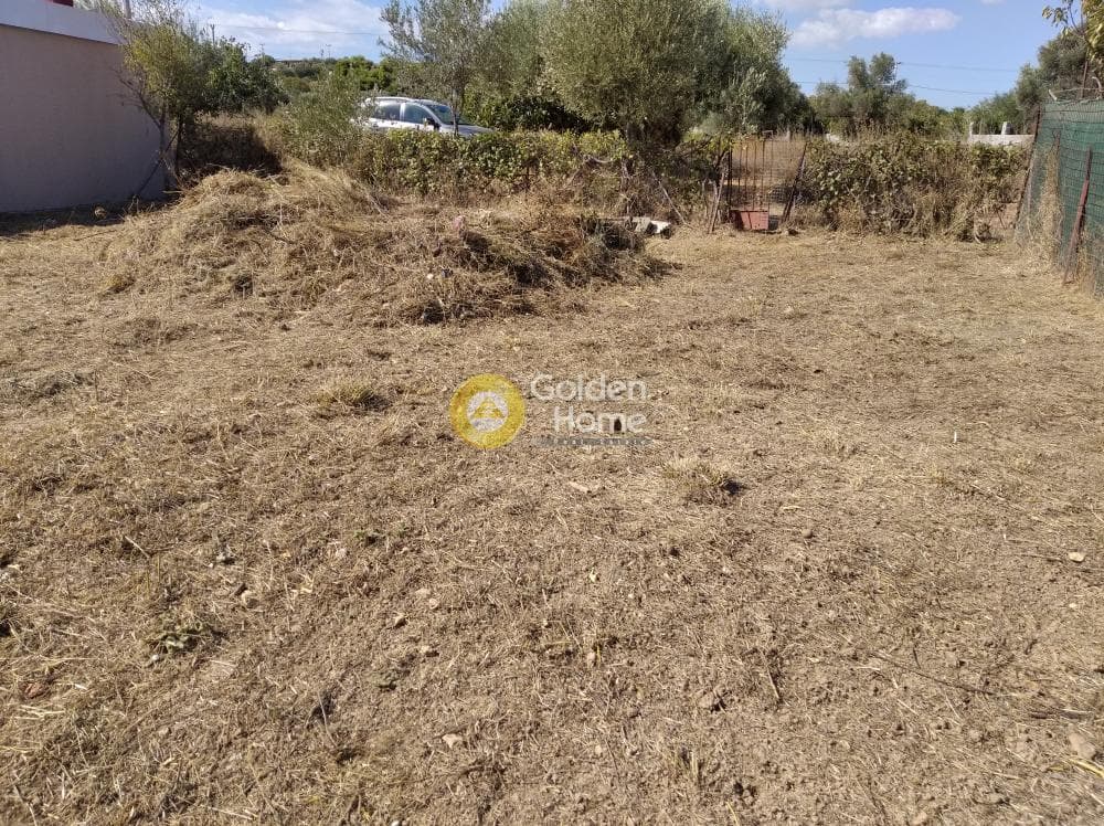 Parcel in Agios Serafeim, Artemida (Loutsa) — Photo 6 of 6