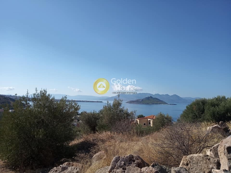 Parcel in Kapotides, Aegina — Photo 6 of 6